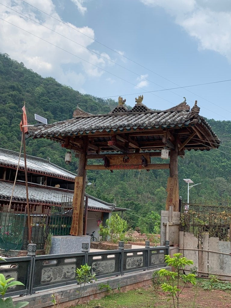 Pu-erh Tea - 2019 Yiwu Single Mill Terrace Arbor Tree Sheng Pu’erh