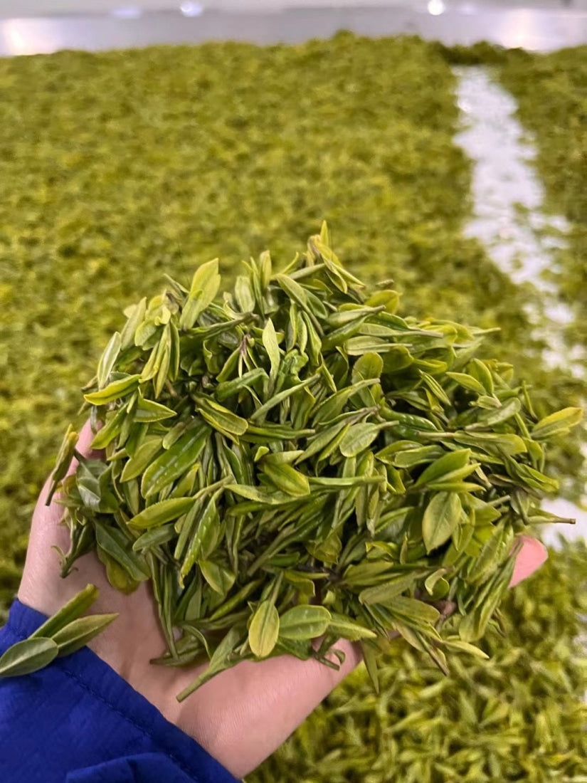 Green Tea - High Mountain Premium Enshi Jade Dew Selenium - Rich