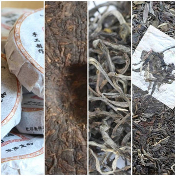 Pu - erh Tea - Premium Pu’erh Tea Sampler - MeiMei Fine Teas