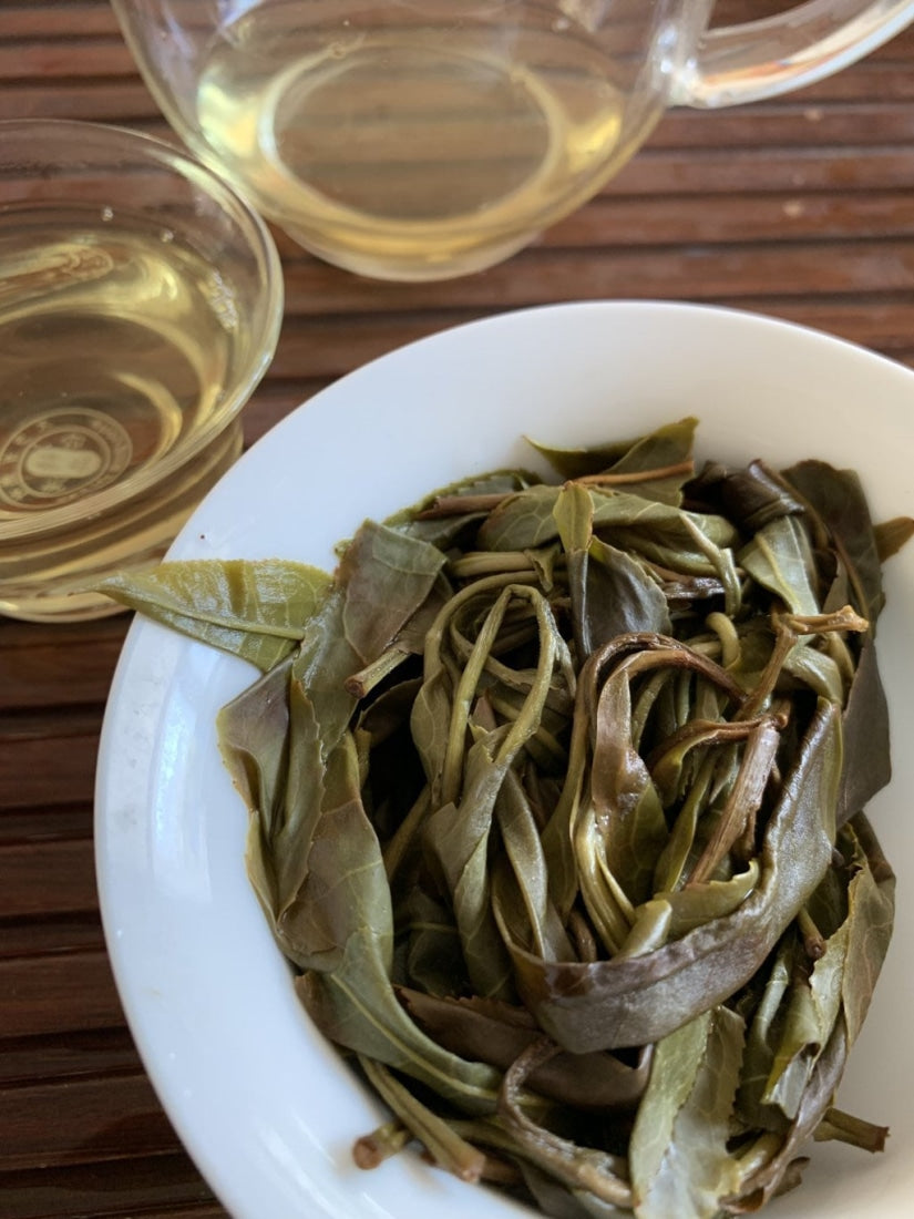Pu-erh Tea - 2019 Yiwu National Forest Ancient Tree Sheng Pu-erh Tea