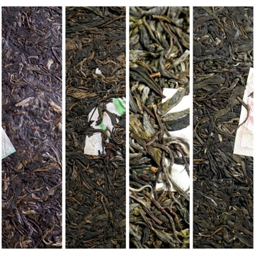 Pu-erh Tea - Puerh Tea Aging Property Comparison Premium Sampler