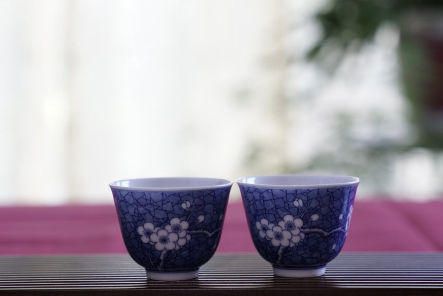 Tea Ware - Jingdezhen Blue and White Porcelain Gaiwan Set Cracking