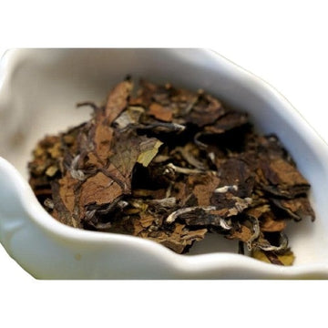 White Tea - 2013 Aged Fuding White Peony White Tea Bai Mu Dan