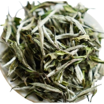 White Tea - 2019 Fuding Top Grade White Peony White Tea Bai Mu Dan