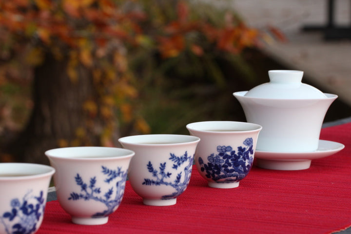 The Gaiwan Purchasing Guide - Part One