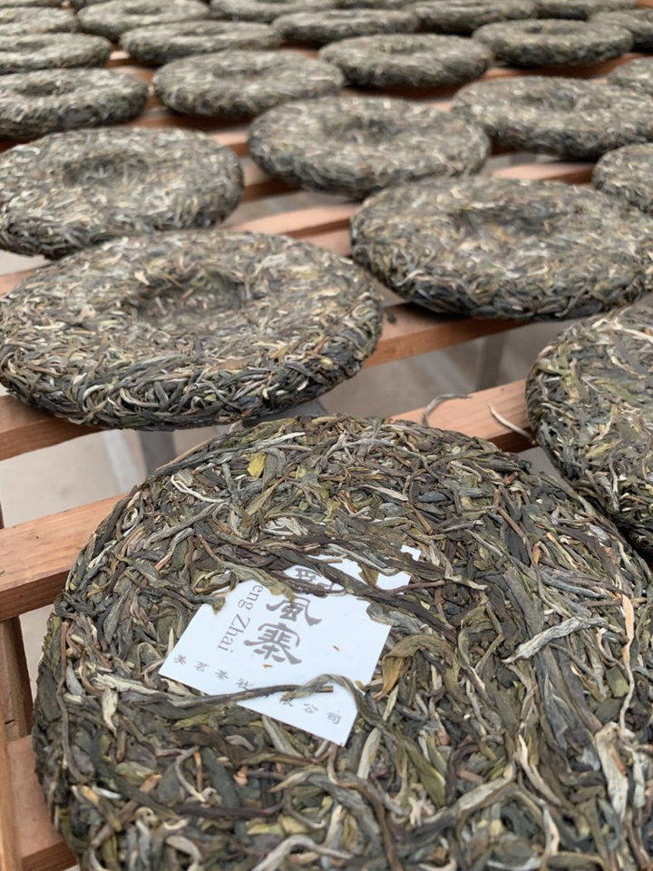 How to Store Pu Erh (And What to do about Aging It)