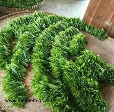 A Princess in the Deep Valley - Tai Pin Hou Kui Green Tea