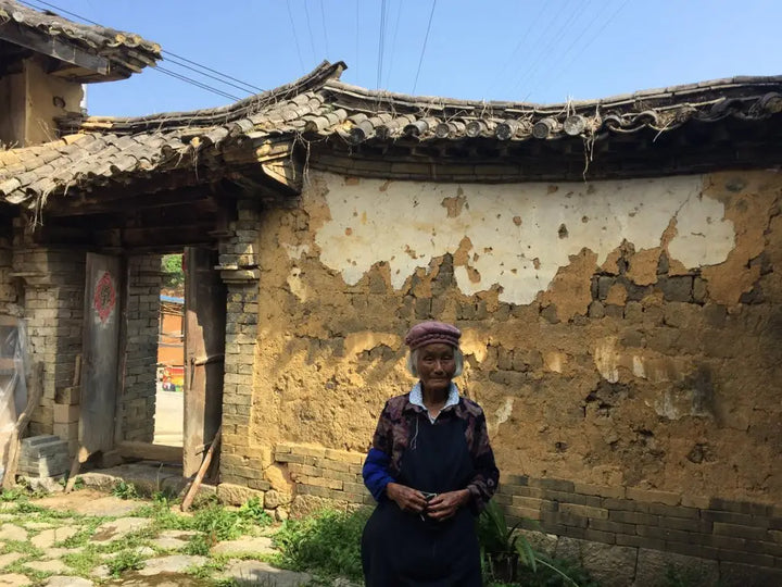 An Ode to Tea Horse Road: Why Nobody Should Forget This Ancient