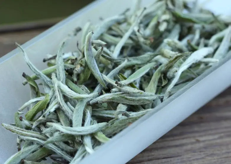 Fuding Silver Needle Chinese White Tea: Bai Hao Yi Zhen