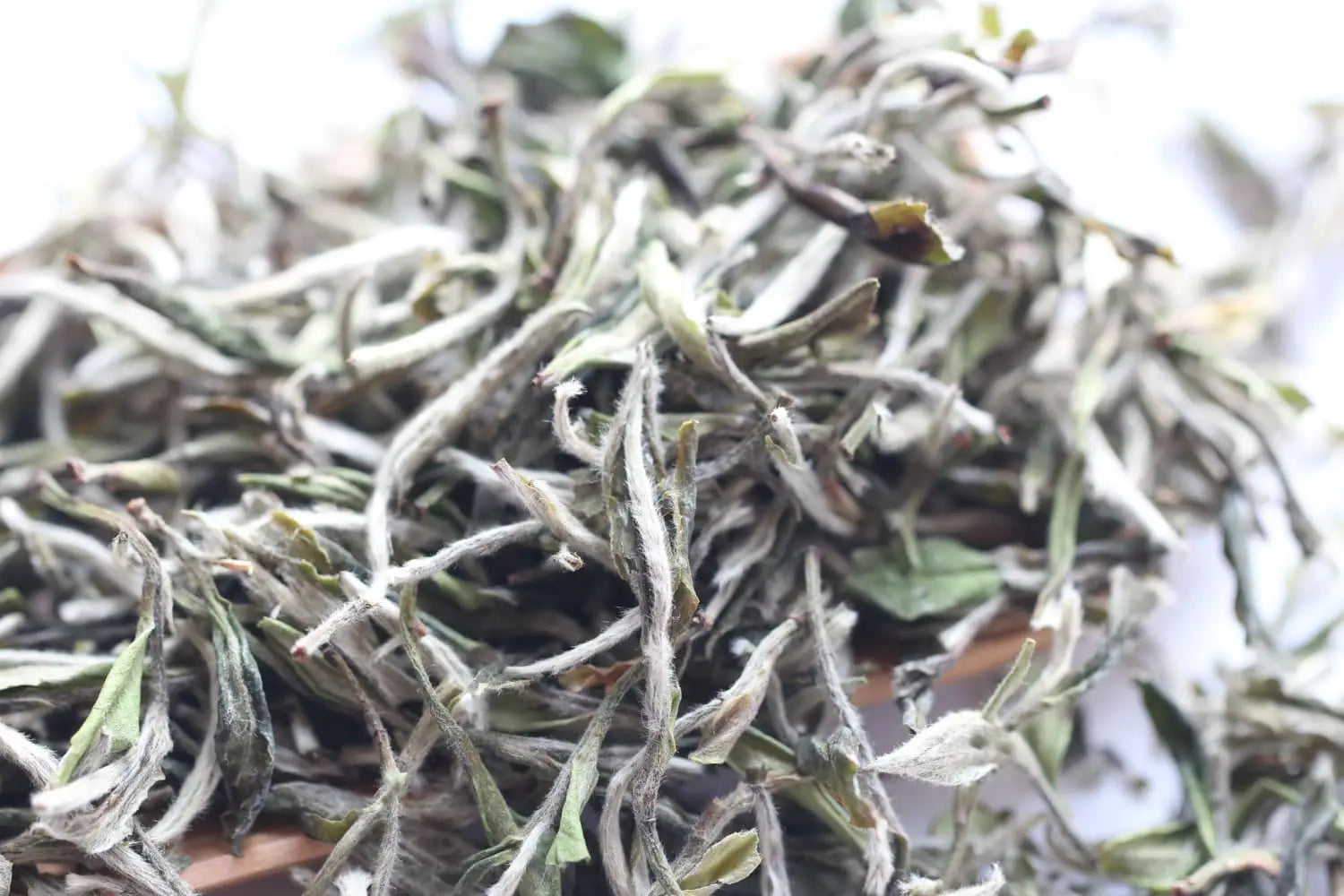 How Many Types of White Tea