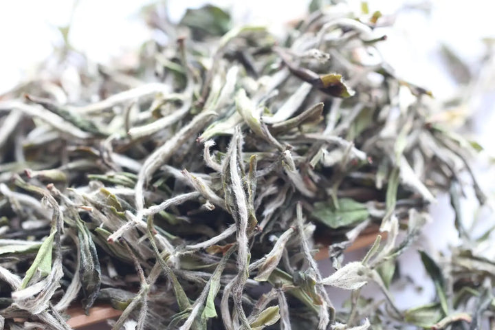 How Many Types of White Tea