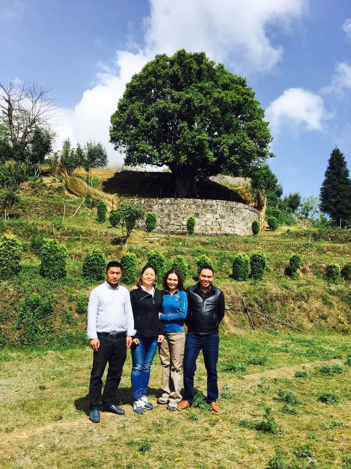 Meet the Legendary “Mother of All Teas”