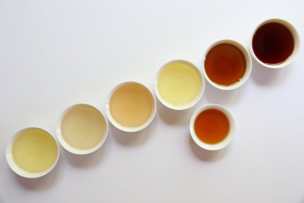 The Beginner’s Tea Tasting Guide (part 1 of 3)