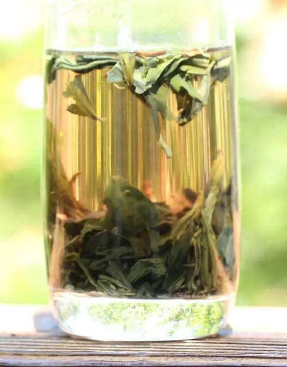 The Complete Guide to Iced Tea Pt. II: Cold Brewing