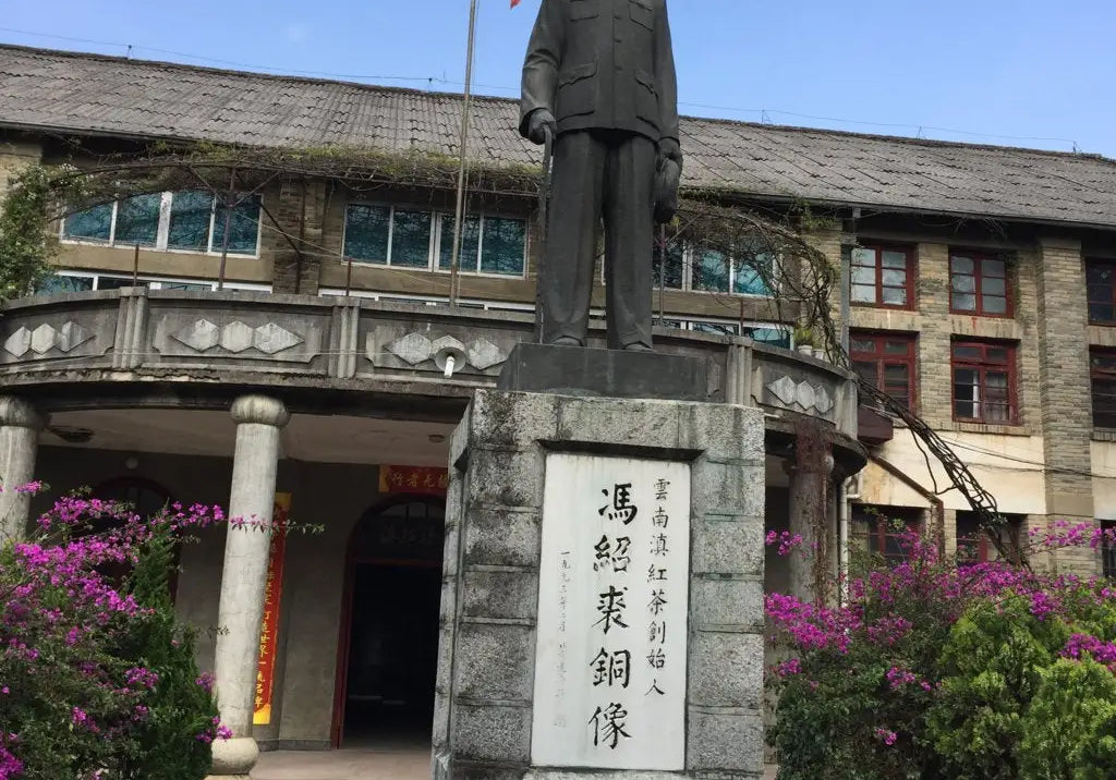 yunnan black tea dian hong