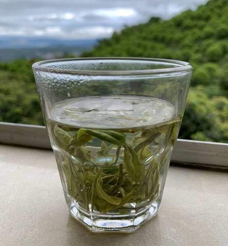 What Makes for a Good Green Tea?