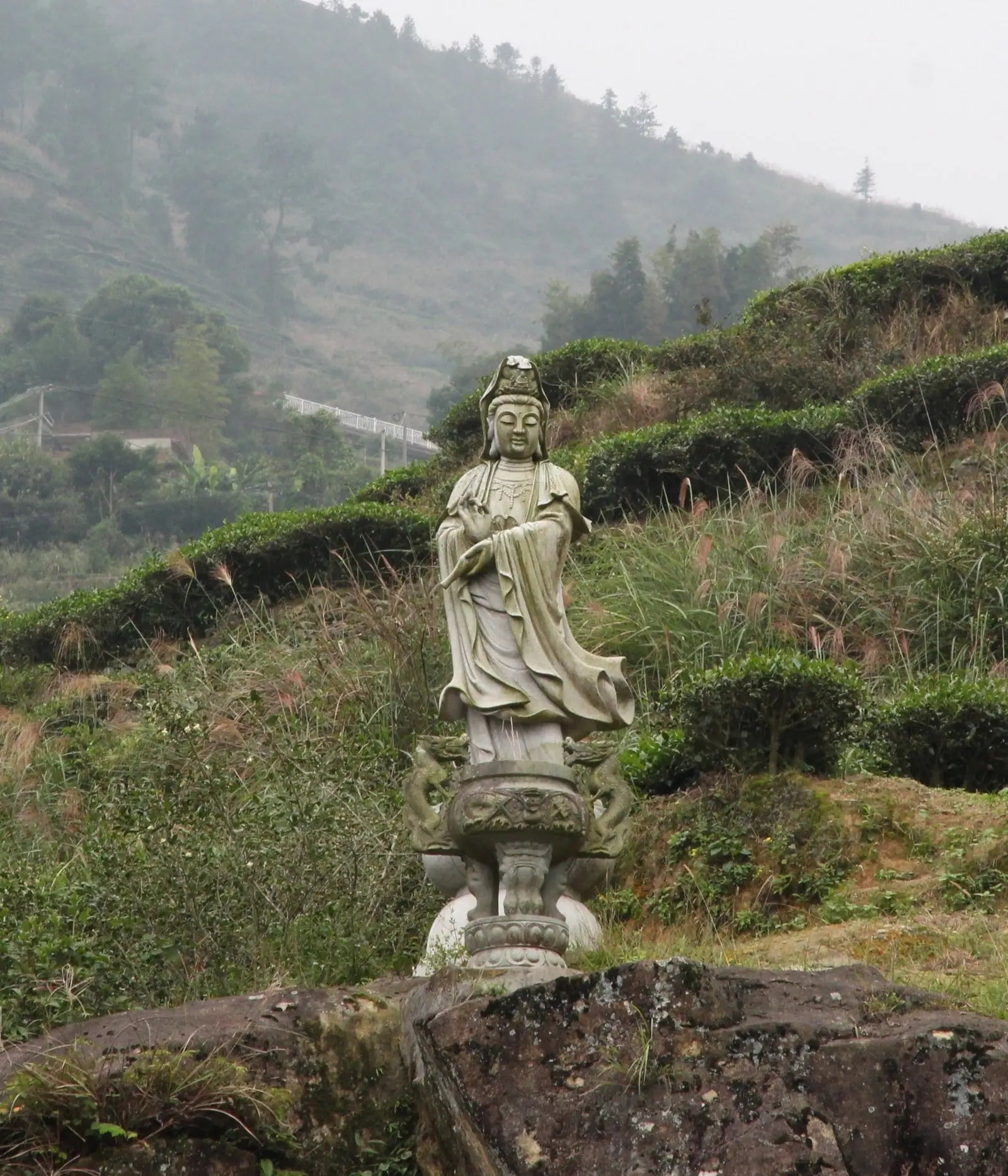 Anxi Iron Goddess of Mercy Statue Tie Guan Yin