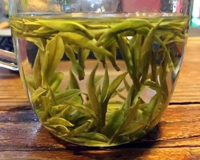 What’s New? A Glance at New Harvest Spring Green Teas