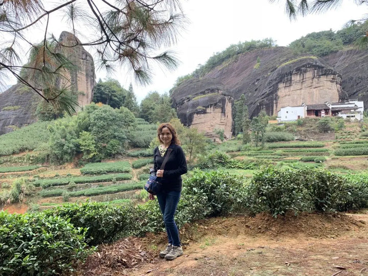 Wuyi Rou Gui: What’s the Difference between Shui Lian Dong and Ma