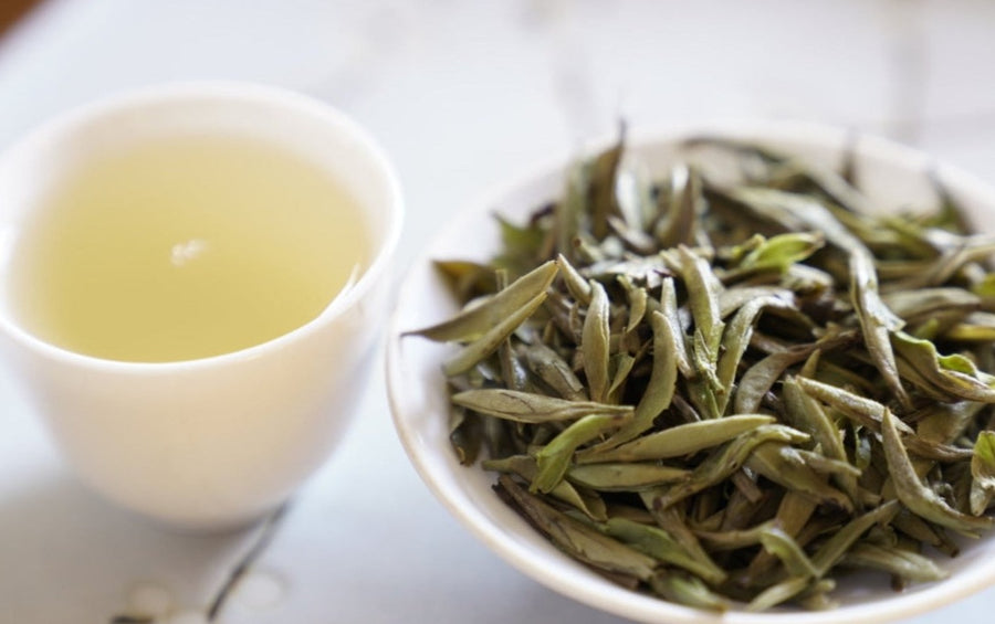 2024 Top Grade Fuding Silver Needles White Tea Bai Hao Yin Zhen
