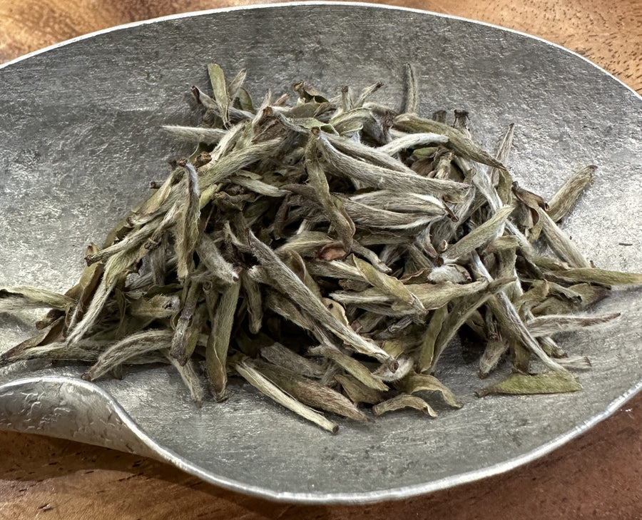 2016 Supreme Fuding Silver Needles White Tea Bai Hao Yin Zhen