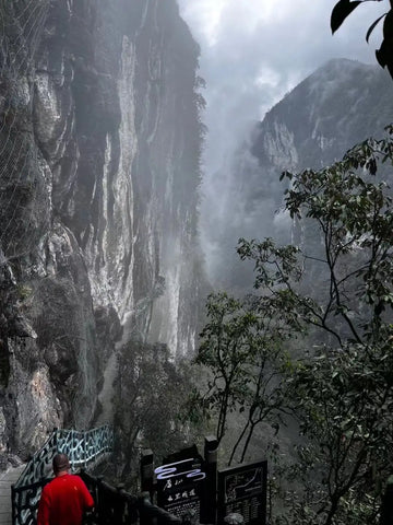 Enshi Jade Dew tea mountain
