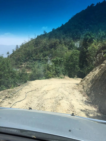 tea trip yunnan puerh tea fengqing - meimei fine teas