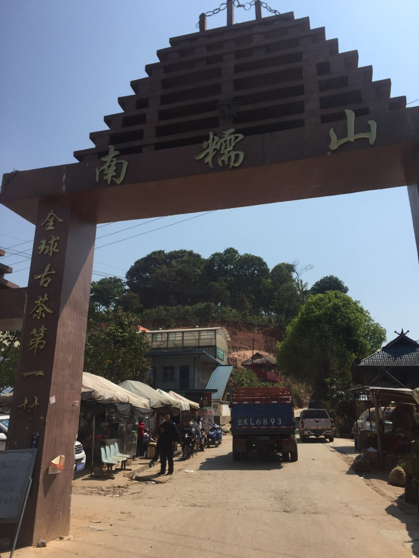 Nannuo Mountain Arbor Tree Pu-erh Black Tea Dragon Pearls