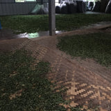 Nannuo Mountain Arbor Tree Pu-erh Black Tea Dragon Pearls