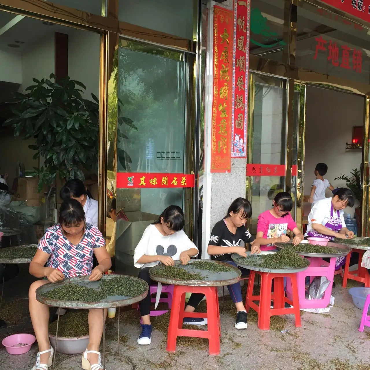 The Spirit of Tea in the Chinese Tea Mountains