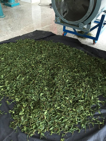 tie guan ying iron goddess of oolong - meimei fine teas