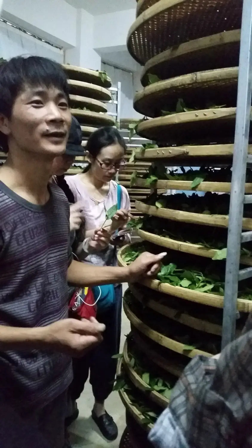 The Spirit of Tea in the Chinese Tea Mountains