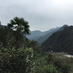 Tongmu Guan Classic Lapsang Souchong Black Tea Smoky Zheng Shan Xiao Zhong