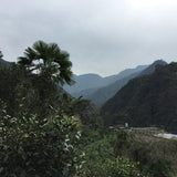 Tongmu Guan Classic Lapsang Souchong Black Tea Smoky Zheng Shan Xiao Zhong