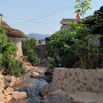 2019 Yiwu Single Mill Terrace Arbor Tree Sheng Pu’erh Tea Cake Yi Shan Mo