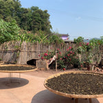 2019 Yiwu Single Mill Terrace Arbor Tree Sheng Pu’erh Tea Cake Yi Shan Mo