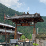 2019 Yiwu Single Mill Terrace Arbor Tree Sheng Pu’erh Tea Cake Yi Shan Mo