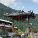 2019 Yiwu Single Mill Terrace Arbor Tree Sheng Pu’erh Tea Cake Yi Shan Mo