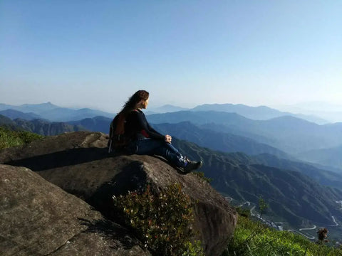 Phoenix Mountain Wudong, Guangdong province - Phoenix Dan Cong oolong tea