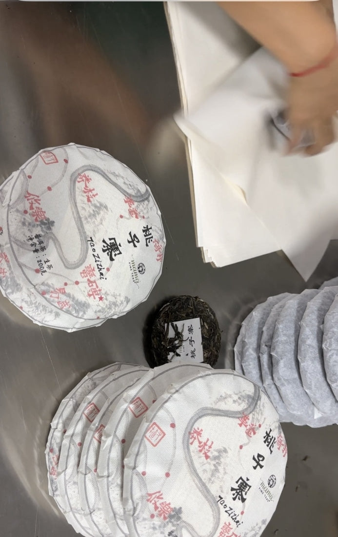 2023 Man Zhuan Mountain Peach Village Tall Ancient Tree Raw Pu-erh Tea Tao Zi Zhai Gao Gan