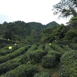 First Grade Heirloom Keemun Gongfu Black Tea