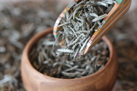 fuding silver needles white tea - meimei fine teas