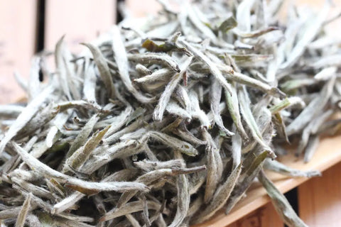 Funding Silver Needles white tea true origin from Meimei Fine Teas