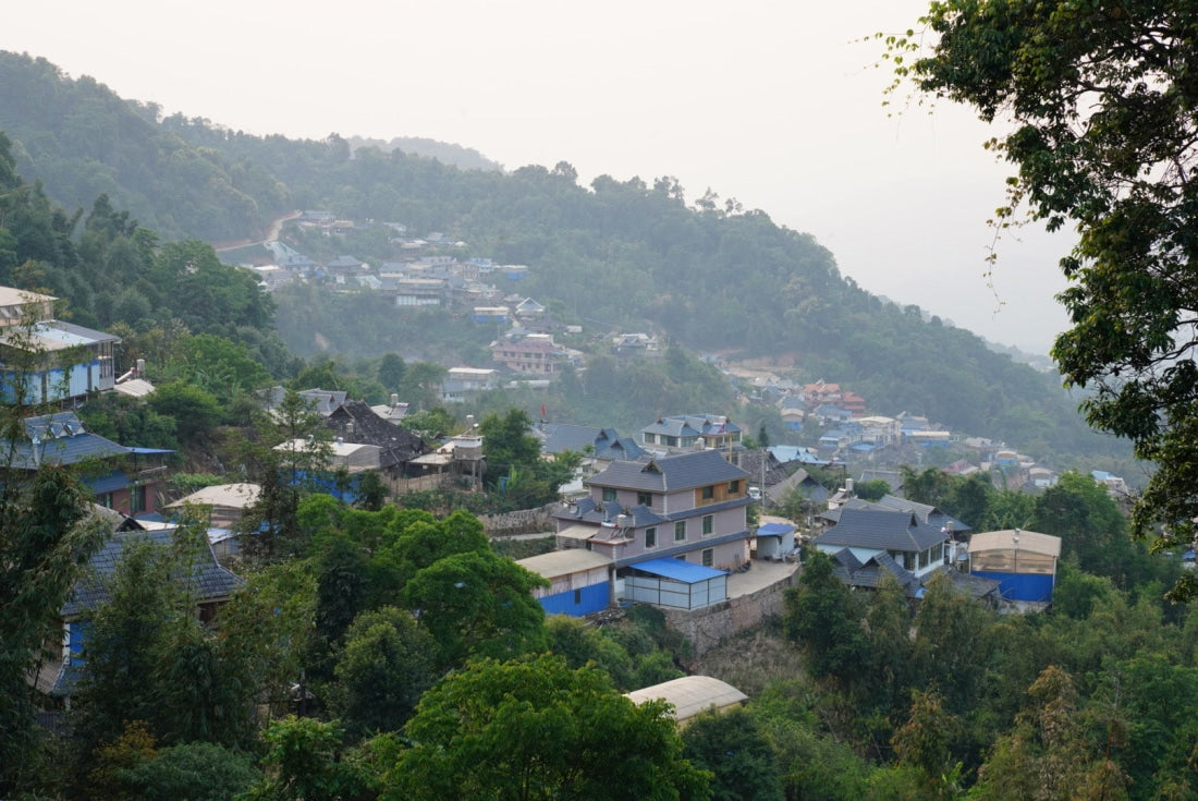 Nannuo Mountain Arbor Tree Pu-erh Black Tea Dragon Pearls