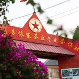 Nannuo Mountain Arbor Tree Pu-erh Black Tea Dragon Pearls