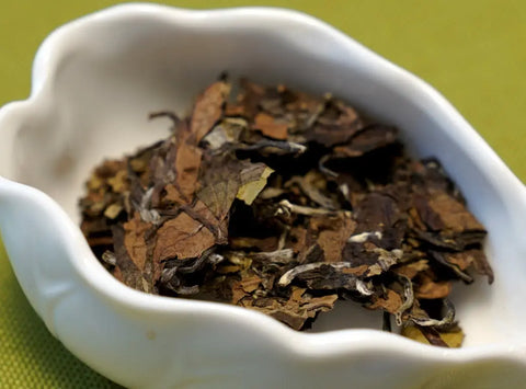 Aged white tea white peony Fuding county, Zhejing province