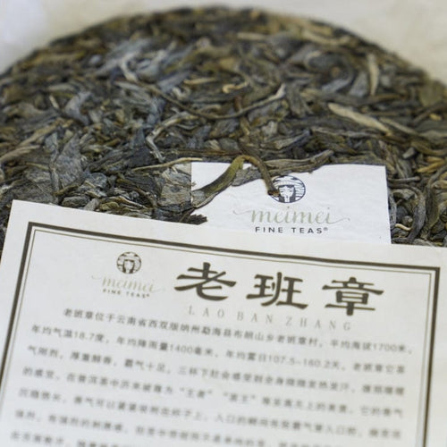 2023 King of Pu-erh Lao Ban Zhang Raw Pu-erh Tea