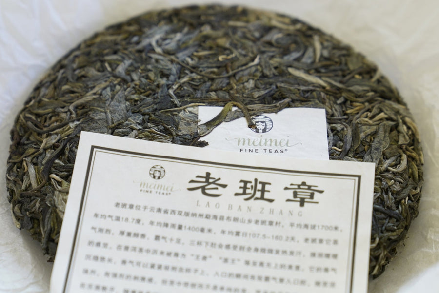 2023 King of Pu-erh Lao Ban Zhang Raw Pu-erh Tea Cake