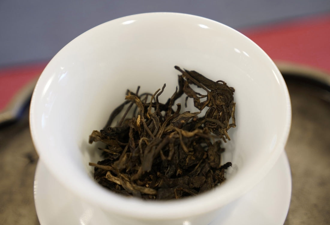1999 Vintage Yiwu Zhen Shan Raw Sheng Pu-erh Tea