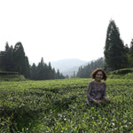Victoria survey the white tea terroir in Panxi, Fuding county. 